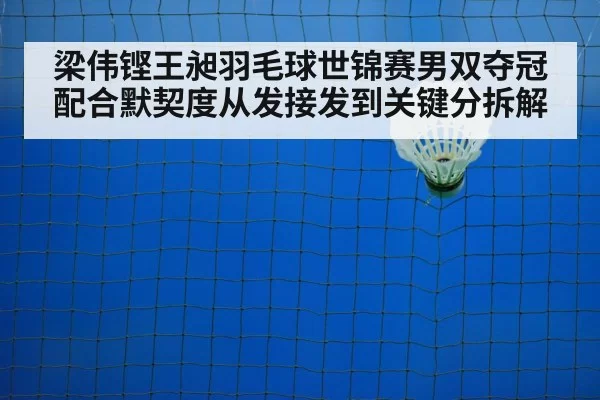 梁伟铿王昶羽毛球世锦赛男双夺冠配合默契度从发接发到关键分拆解 - LeyuSports